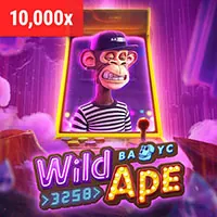 Hỗ trợ 24/7 viva8 login